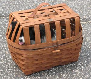 Wicker bike basket for a dog