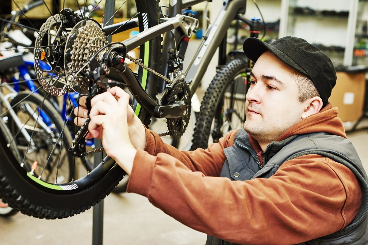 murray bike maintenance oiling