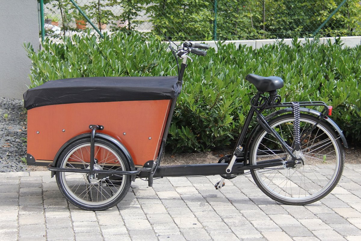 bicycle baby trailer