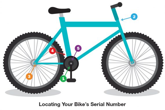 trek bike serial number database