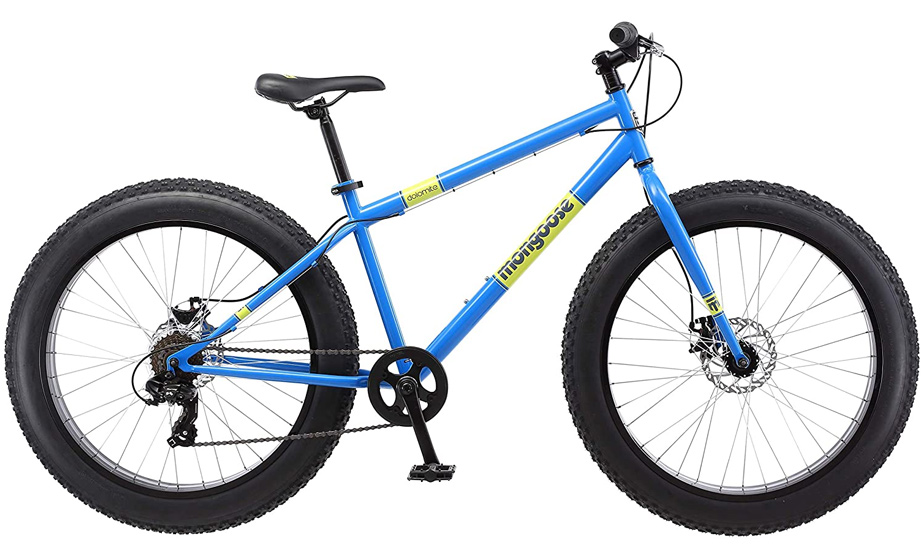 15 Best Fat Tire Bikes - Reviewed and Ranked 2021