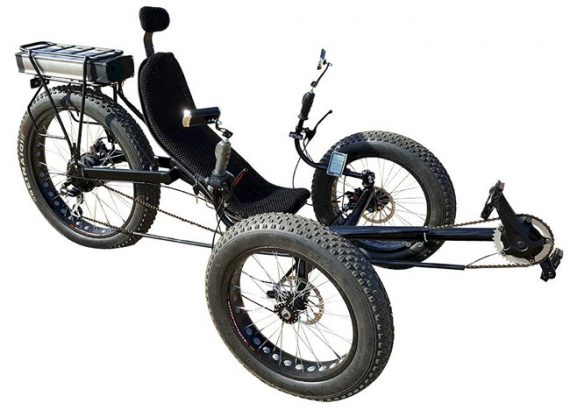 10 Best Adult Electric Tricycles To Choose From 2705